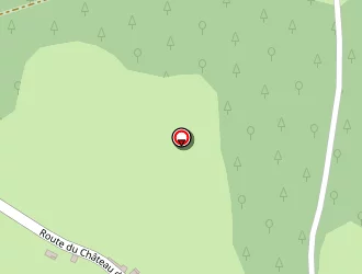 Carte de De Jong Yann à Montberaud