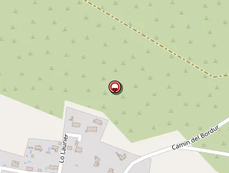 Carte de Tafforeau Eric à Palaja