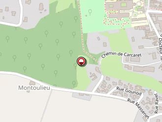 Carte de Ercoli Pauline à Nay