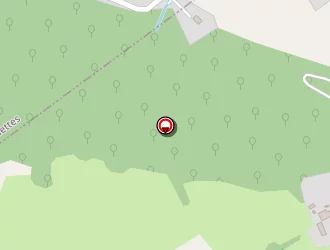 Carte de Champion à Nay