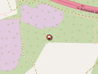 Carte de Herpin Bernard à Palaja