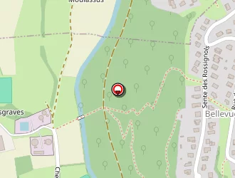 Carte de Olitrans à Louey