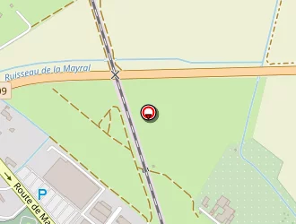 Carte de Franck Sacrepeigne Expert Comptable à Narbonne