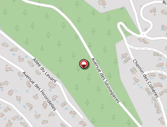 Carte de Calvi Didier à Cavalaire-sur-mer