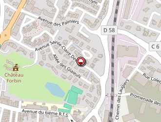 Carte de Fluzin Patrice à Solliès-pont