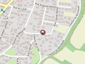 Carte de Flamein Véronique à Juillan