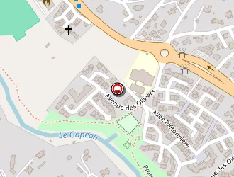 Carte de Racca Michele à Solliès-pont