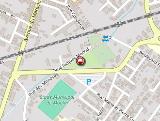 Carte de F-c- Lézignan Xiii à Lézignan-corbières