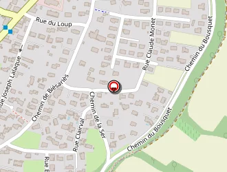 Carte de Saffore Serge à Juillan