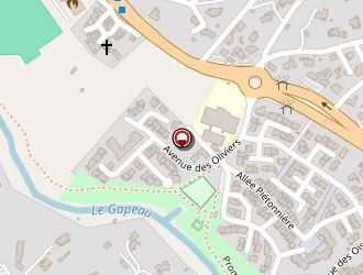 Carte de Amri Bassem à Solliès-pont