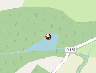 Carte de Delmas Jean-louis à Saverdun