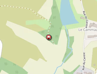 Carte de Mairie à Cazalrenoux