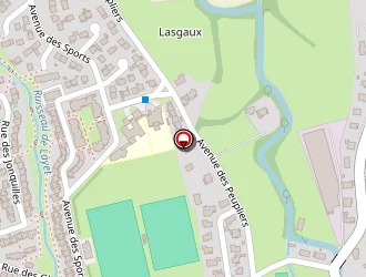 Carte de Public Expert à Barbazan-debat