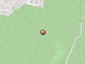 Carte de Rey Robert Michel à Solliès-pont