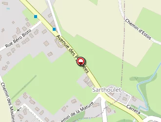 Carte de Reiki Source à Estos