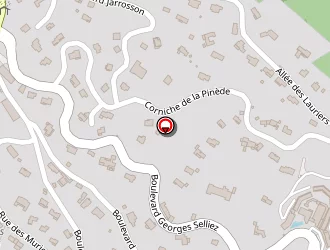 Carte de Parc Hôtel à Croix-valmer (la)