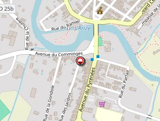 Carte de Conseil Général à Montesquieu-volvestre