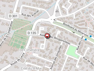 Carte de Martinez Thierry à Trèbes