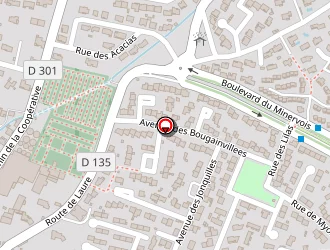 Carte de Mairie à Trèbes