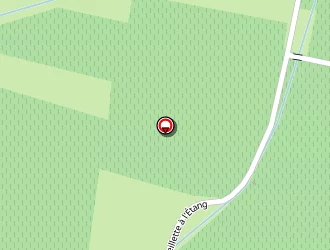 Carte de Fonfile (earl) à Blomac