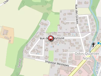 Carte de Bambou à Odos