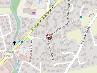 Carte de Lacoque Lili à Odos