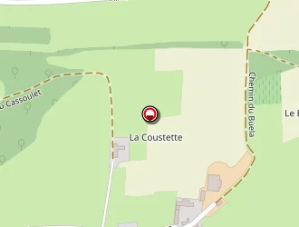 Carte de Baur Christian à Sinzos