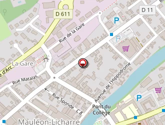 Carte de Institut Sybèle à Mauleon soule