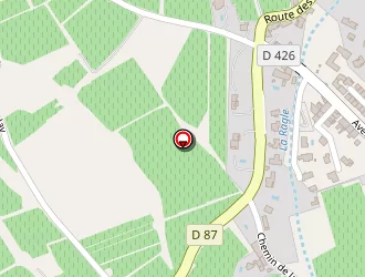 Carte de Bronzo (earl) à Castellet (le)