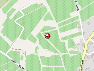 Carte de Camelio Stéphane à Castellet (le)