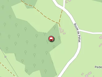 Carte de Taxi Tony 64 à Rontignon