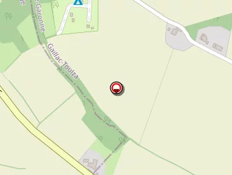 Carte de Langelotti Michel à Saint-ybars