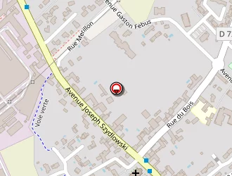 Carte de Mbaye Brigitte à Bordes