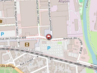 Carte de Meliani Rokia à Tarbes