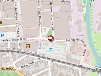 Carte de Ducastaing Cédric à Tarbes