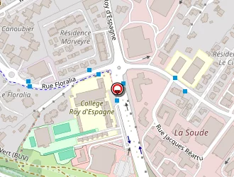 Carte de Pointex Gestion à Marseille