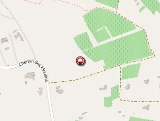 Carte de Masha à Ramatuelle