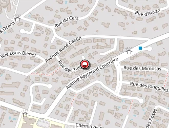 Carte de A.m.s Conseil à Pennautier