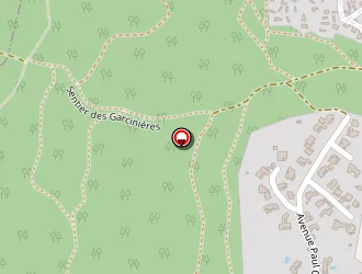 Carte de De Mauléon Maureen à Gassin