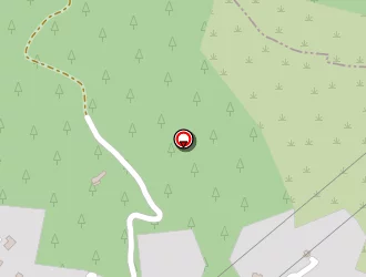 Carte de Ingemed à Belgentier