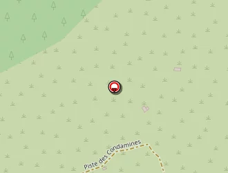 Carte de Gaudin Bernard à Collobrières