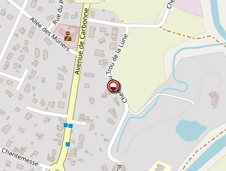 Carte de De Nayville Brigitte à Rieux