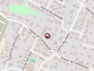 Carte de Pailhes Jean-raymond à Rieux