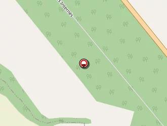 Carte de Domingues Francis à Préchacq-josbaig