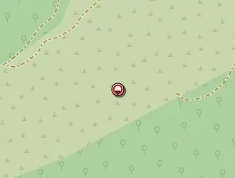 Carte de Yach à Pignans