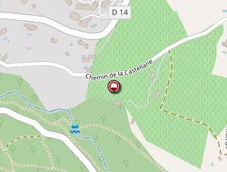 Carte de Arbres Et Forêts à Grimaud