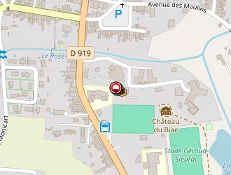 Carte de M.a.s Lézat à Lézat-sur-lèze