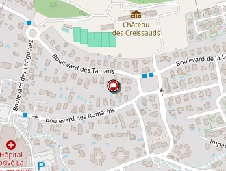 Carte de Docteur Ordinateur D.c.f.i. à Aubagne