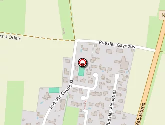 Carte de Silva Rolando à Orleix