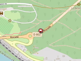 Carte de E.m. Auto à Bizanos